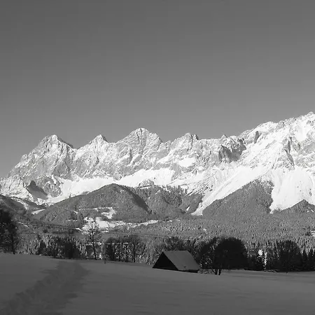 Pensión Steiermark 3*