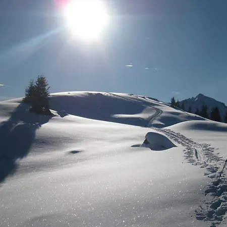 Steiermark Шладмінг