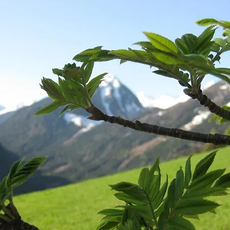 Steiermark 3* Шладмінг