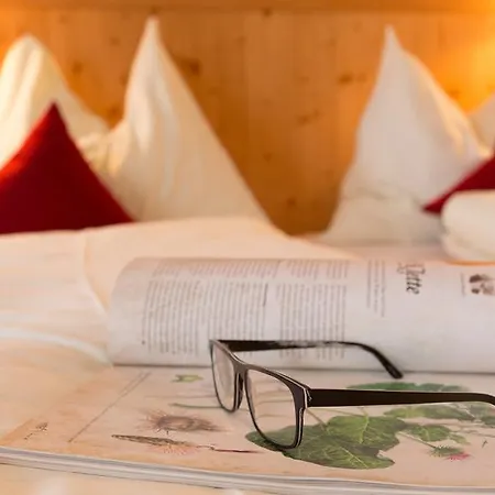 Maison d'hôtes Steiermark Schladming