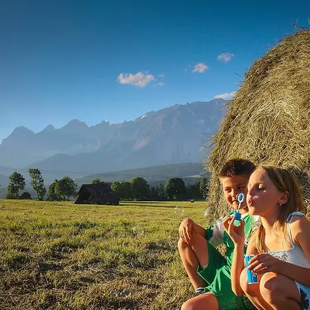 Steiermark