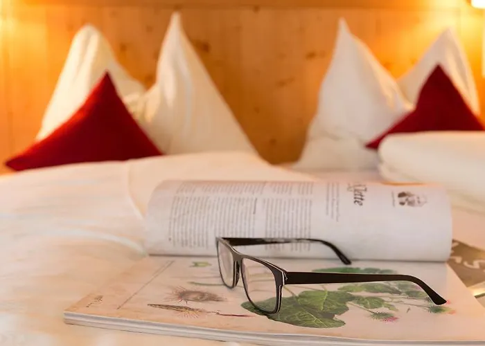 Gasthuis Steiermark Schladming